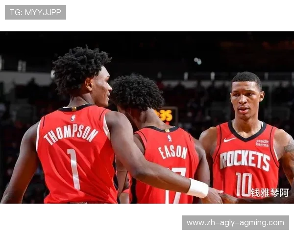 2017赛季火箭队比赛战况与战术布局