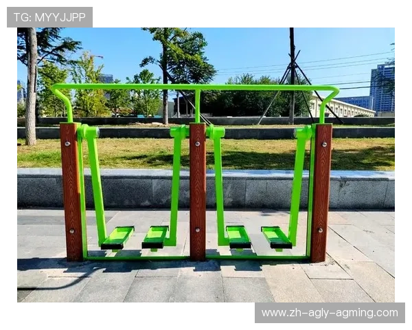 健身器材厂家与器械分类详解，如何选择高性价比产品