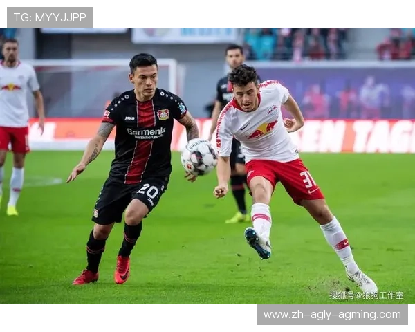 德甲球队现在怎么样了吧：德甲球队的现状与未来发展展望 (2)