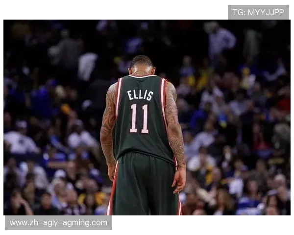 意甲球队埃利斯资料简介及高清图片一览 意甲球队埃利斯资料简介及高清图片一览