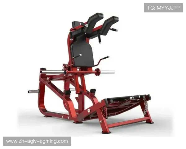 臀部训练常用健身器材和正确姿势