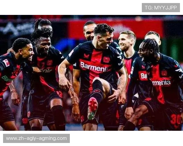 赞扬德甲球队:球迷与专家对德甲球队的评价 赞扬德甲球队:球迷与专家对德甲球队的评价